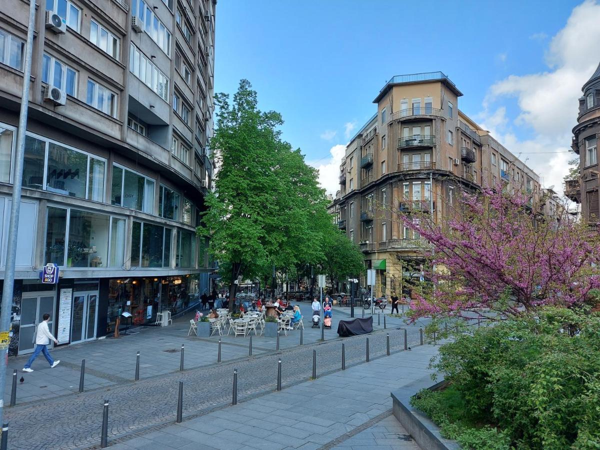 Lotta apartment Belgrado Esterno foto